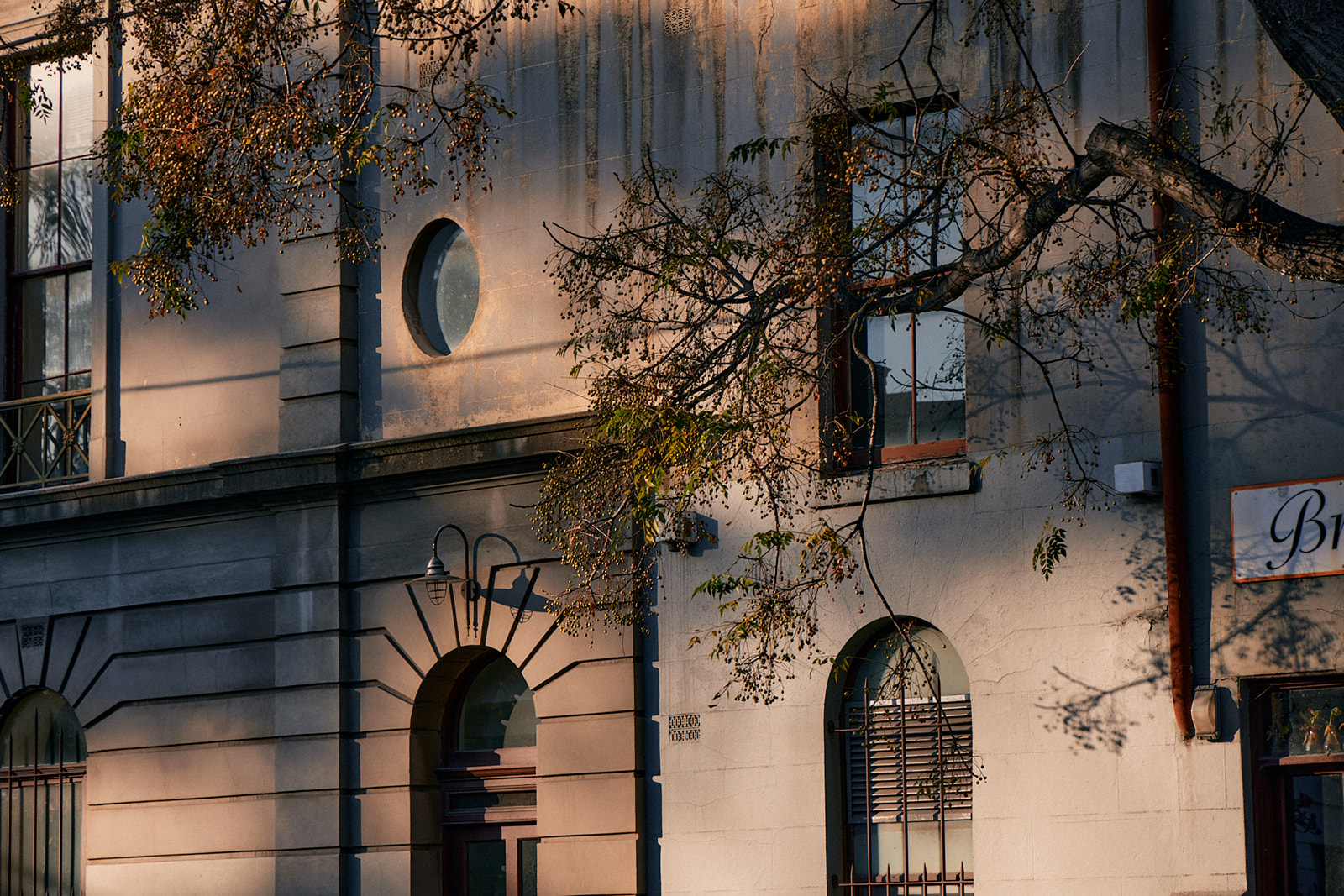 The Regent