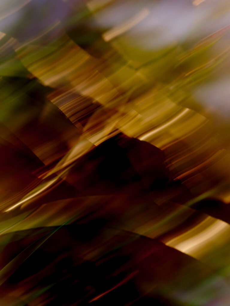 Aura_Nature_0545