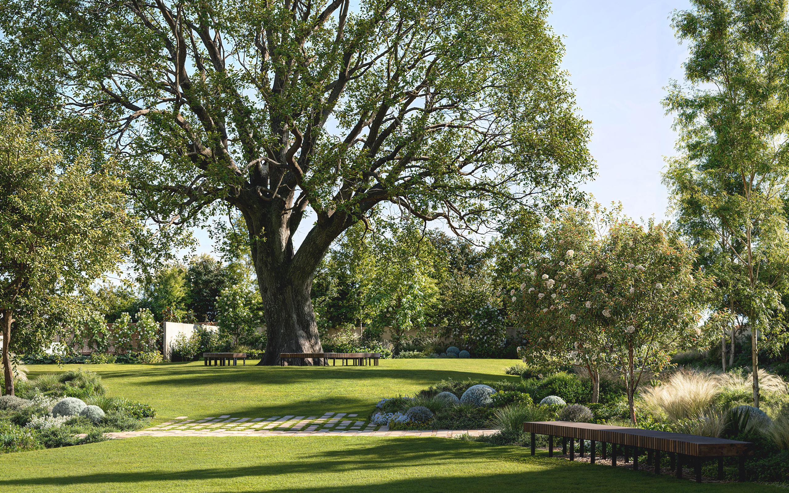 0369_01_03_Communal-Garden-Oak